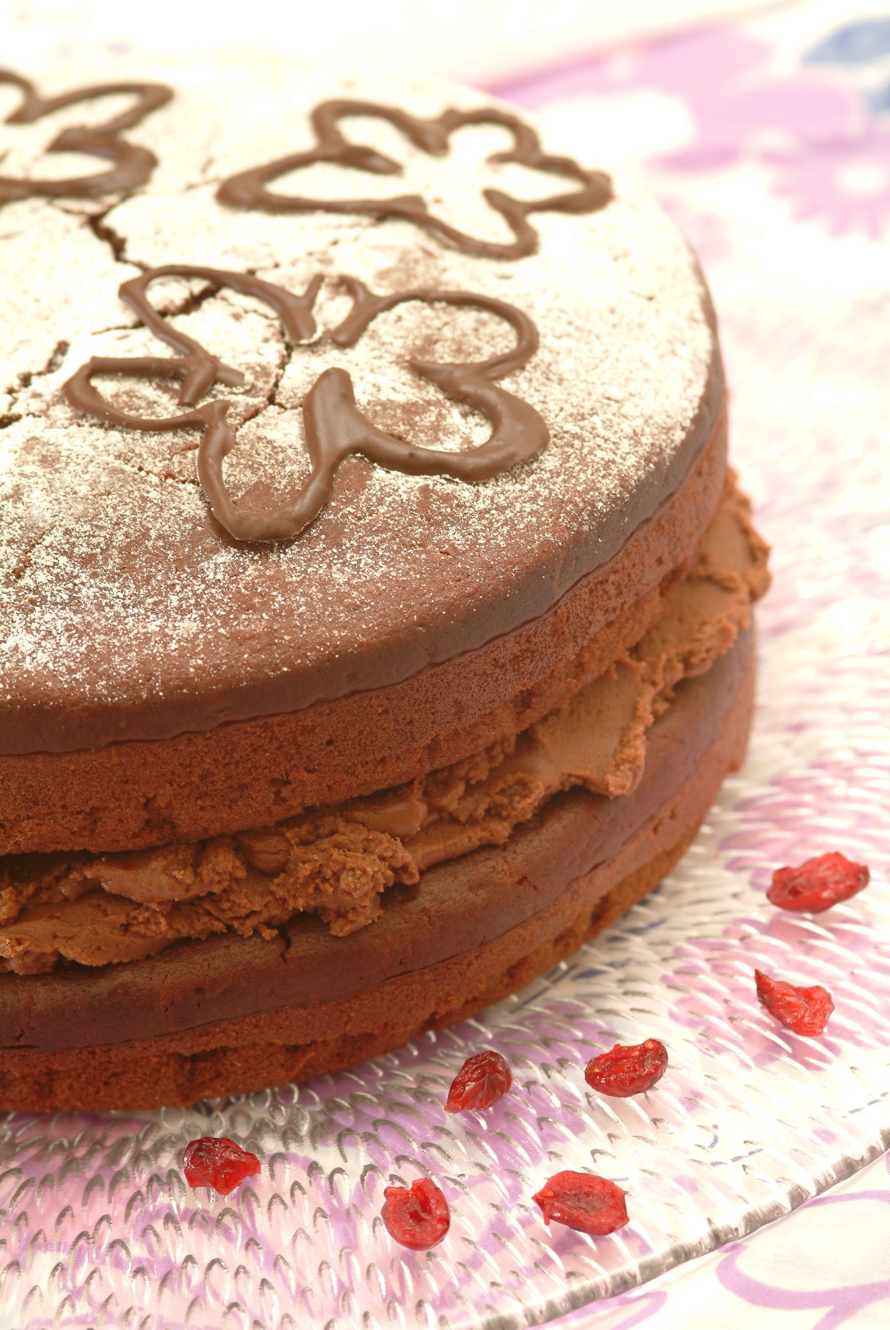 Darkly Divine Vegan Chocolate Fudge Cake - Vegetarian Society