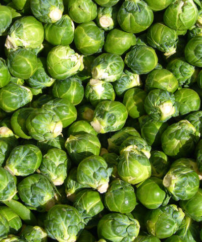 Brussel sprouts