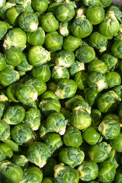Sesame Shredded Brussels Sprouts - Vegetarian Society