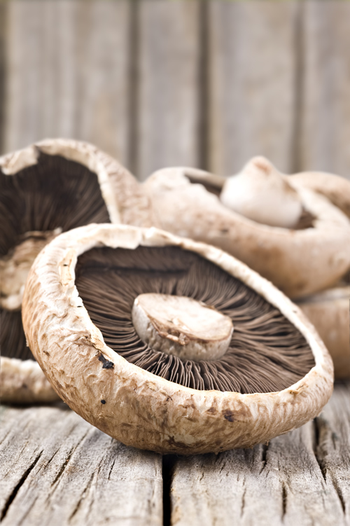 Field Mushrooms with Garlic and Blue Cheese - Vegetarian Society