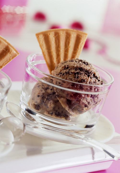 Chocolate, Raisin & Amaretto Ice Cream - Vegetarian Society