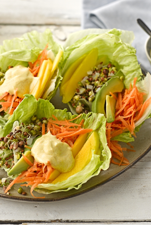 Lentil and Avocado Lettuce Wrap - Vegetarian Society