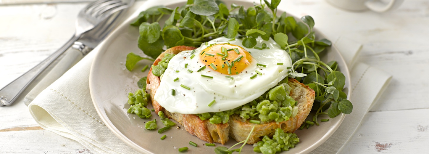 Broad Bean Bruschetta with Fried Egg and Watercress - Vegetarian Society