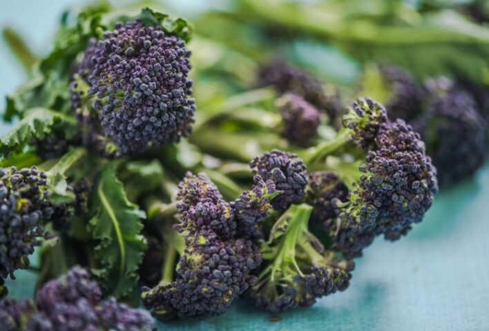 Florets of purple sprouting broccoli on surface