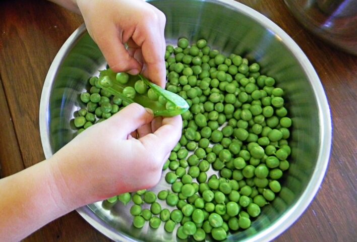 garden peas being shelled into a bowl