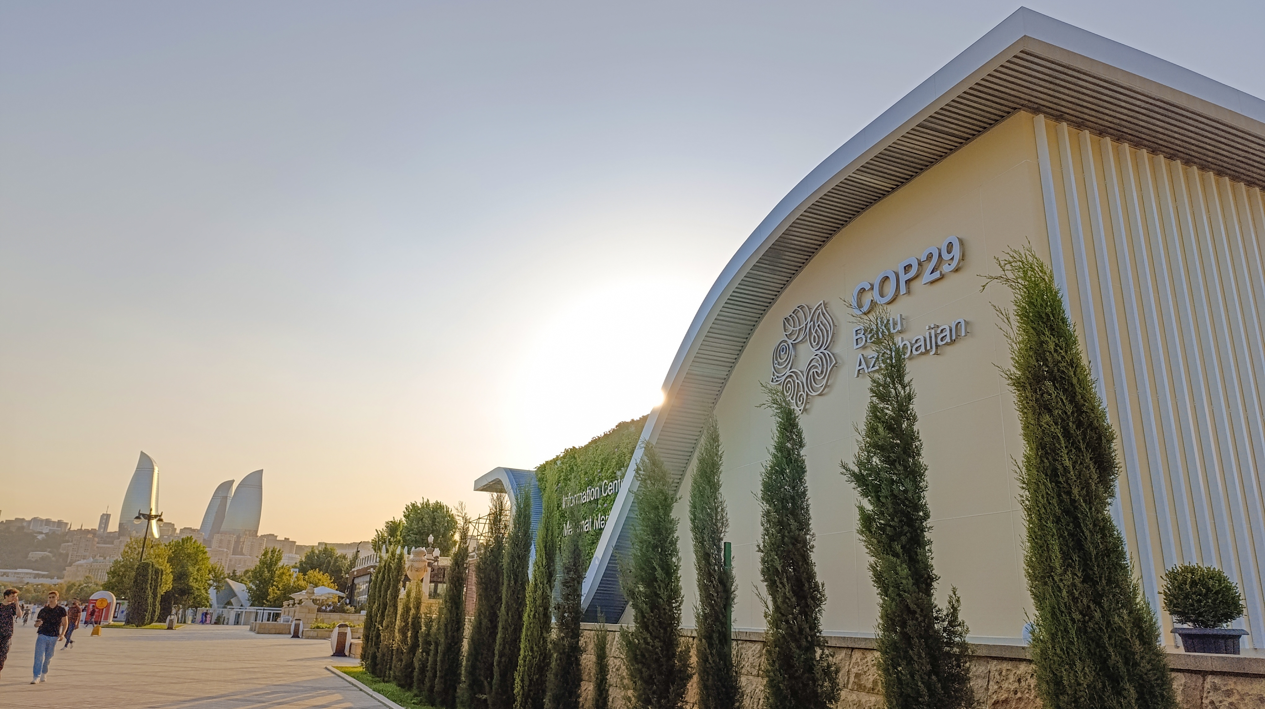 COP29 preview: 'In solidarity for a green world' - Vegetarian Society