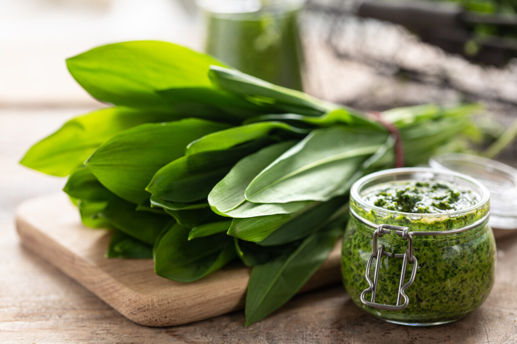 Wild Garlic and Spinach
